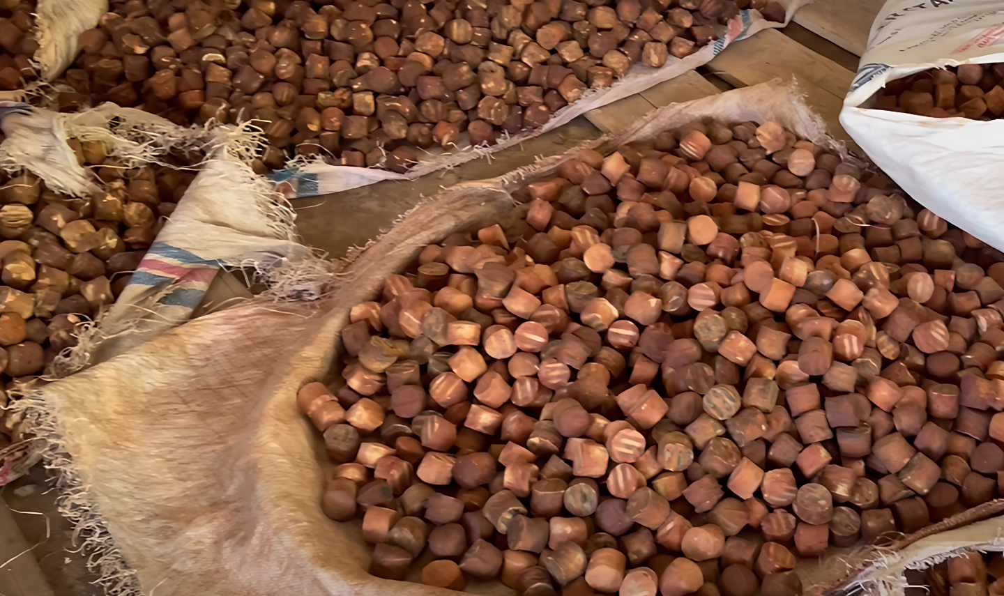 Catechin Extract